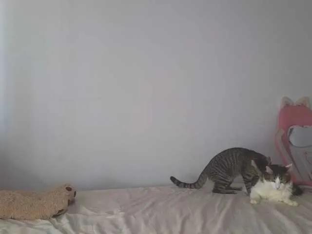 CrystalStarX on BongaCams