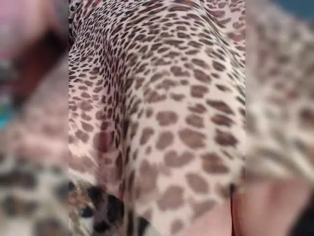 Offline Fox-SEXI on BongaCams