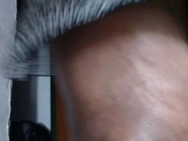 Freechat janex69 on BongaCams