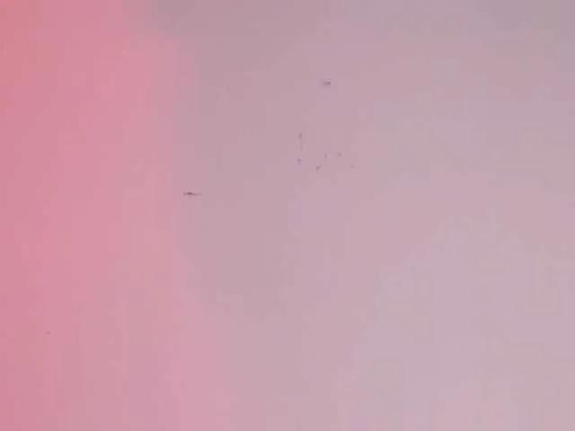 Pamela-Velvet — Sound of tips $ -
Vibrations in my pussy -
To be #1