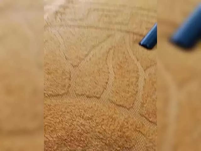 Freechat RosFair on BongaCams