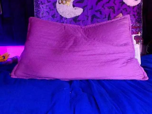 shels-loreds on BongaCams