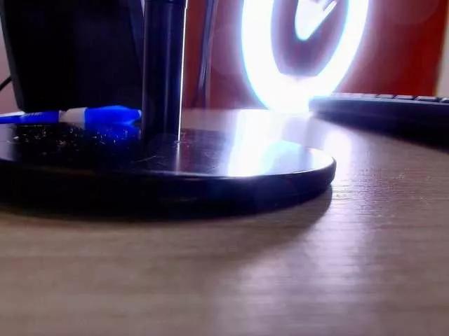 shels-loreds on BongaCams