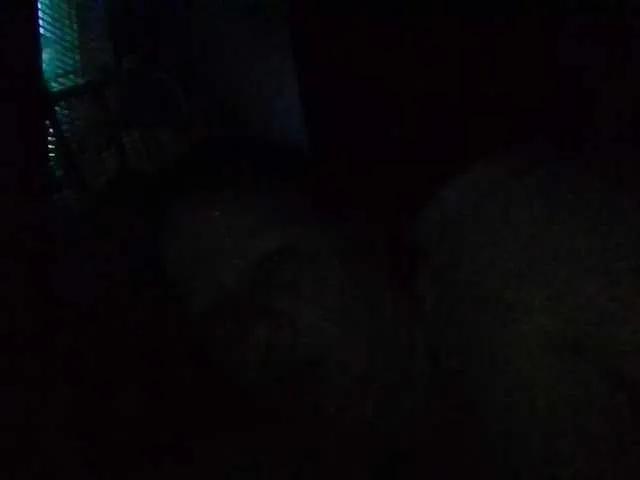 Freechat starlight1983 on BongaCams