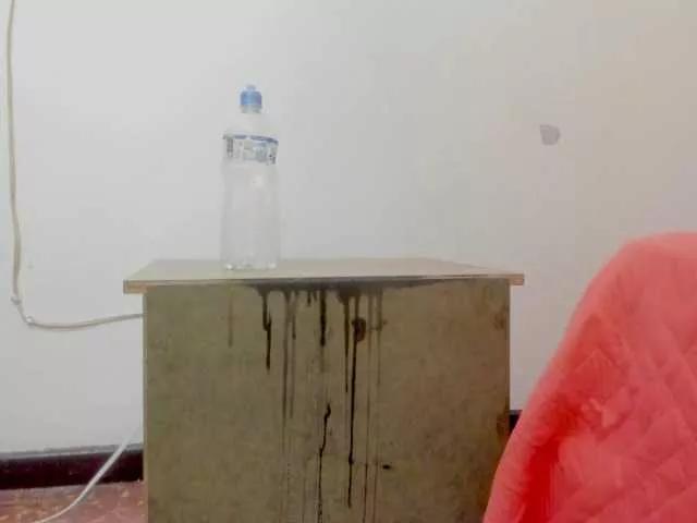 Freechat tu-y-yo19 on BongaCams