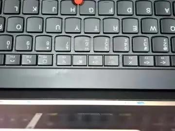 Freechat laylabrasil on Chaturbate