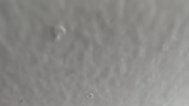 Freechat AntonelaMorriz on StripChat