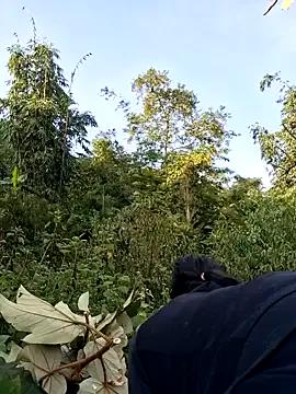 Freechat diamond-- on StripChat